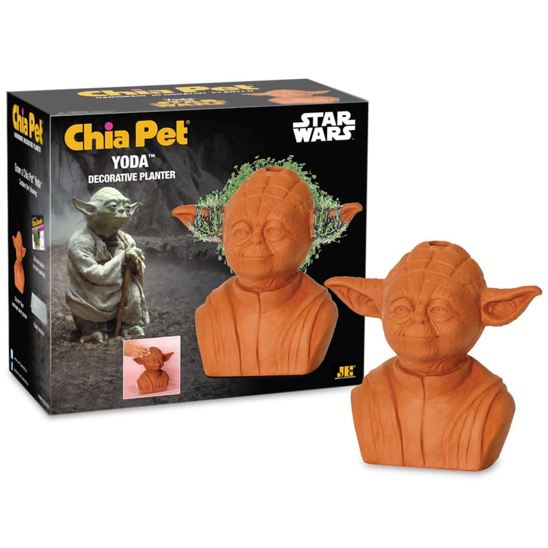 Chia Pet Star Wars Yoda