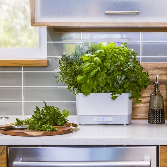 Gift Ideas For Plant Parents