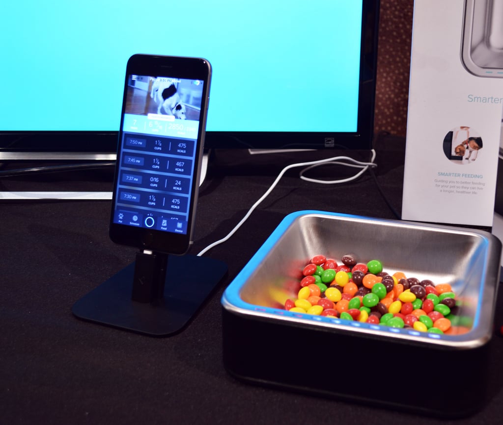 Best Pet Gadgets 2016 POPSUGAR Tech