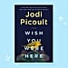 Jodi Picoult Wish You Were Here Book Review