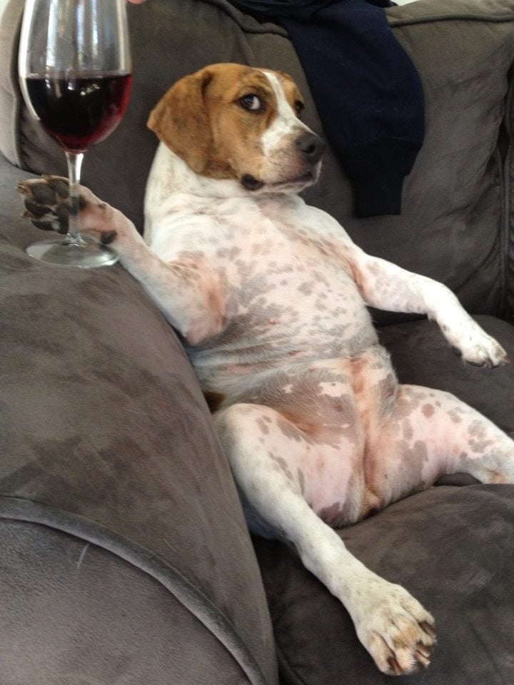 Wine will chill with you on the couch without complaining.