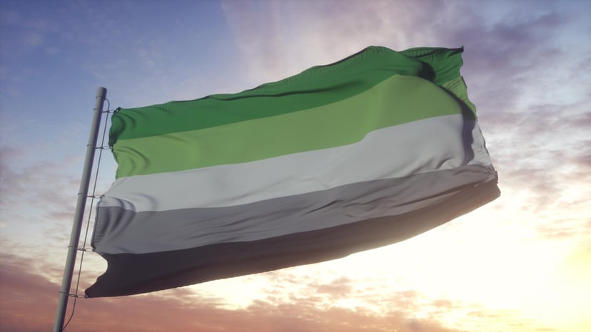 Aromantic pride flag waving in the wind, sky and sun background. 3d rendering.