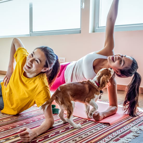 People Working Out With Dogs