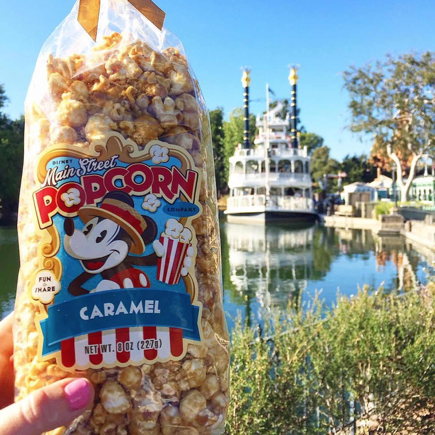 Top 10 Disney Popcorn Flavours