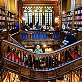 Porto Inspired Harry Potter