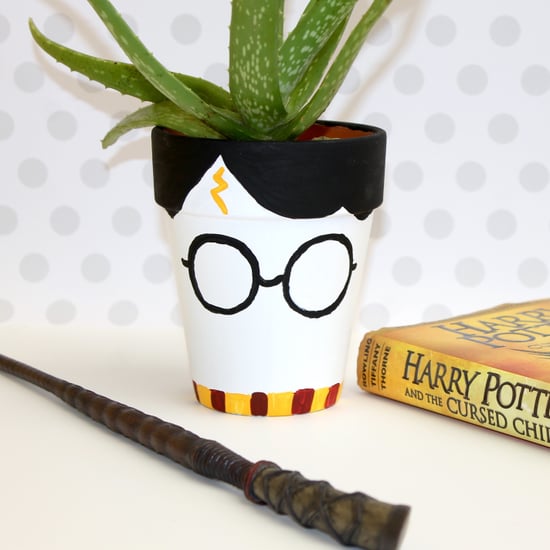 DIY Harry Potter Pot
