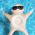 Step Aside Flamingos, We'll Be Floating on This Sloth All Summer Long