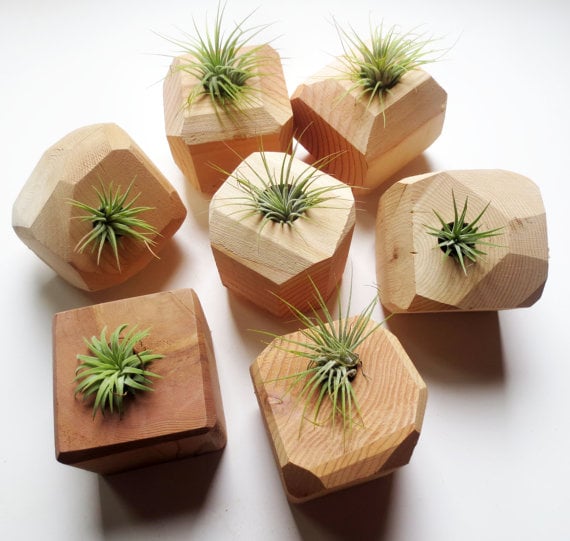 Geometric Wooden Planter