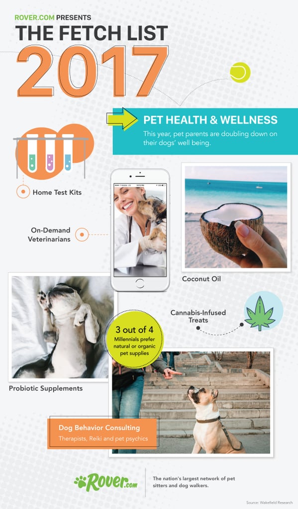 2017 Dog Trends