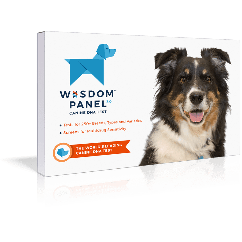 Wisdom Panel 3.0 Dog Breed Identification DNA Test Kit
