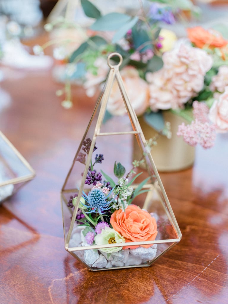 Plant Terrarium Plant Terrarium