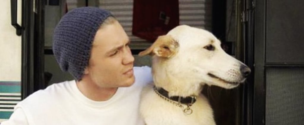 Chad Michael Murray's Dog Joe Dies | Pictures