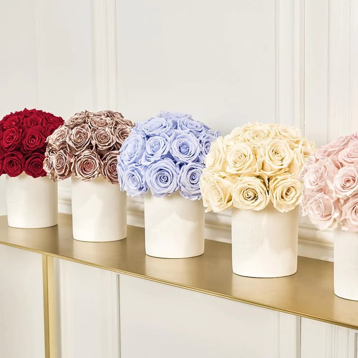 The Best Family Gift Ideas Everyone Will Love 2022 | POPSUGAR ...