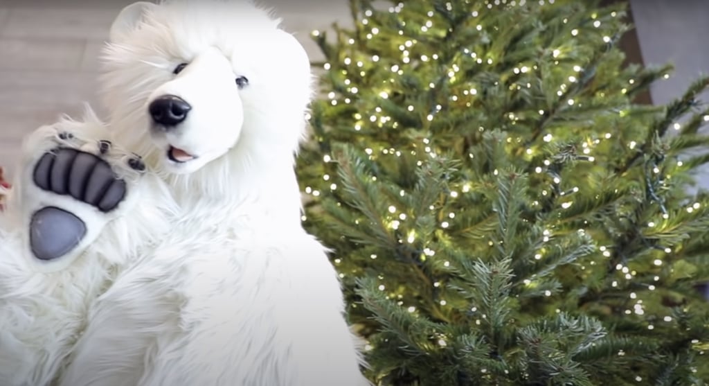 一只非常友好的北极熊正在凯莉客厅的另一棵树前“乘凉”