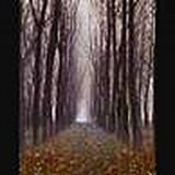 Wildflowers By Tom Petty Wedding Music 65 Father Daughter Dance Songs Popsugar Entertainment