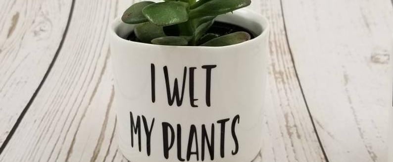 Your Succulent Needs This "I Wet My Plants" Holder From Etsy