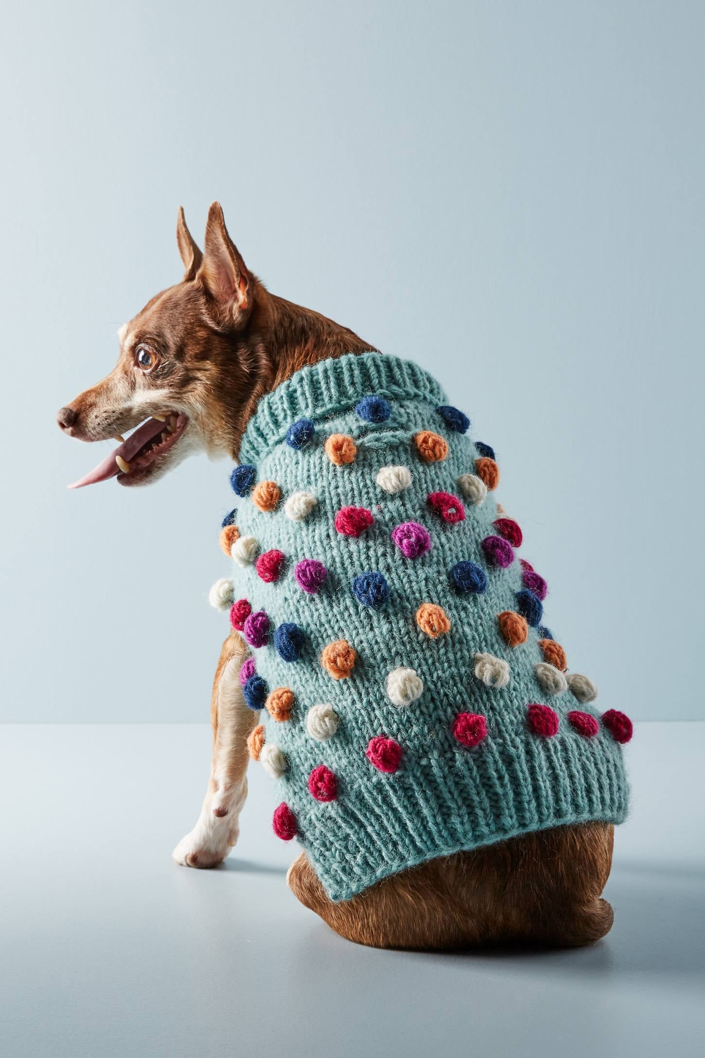 teal dog sweater