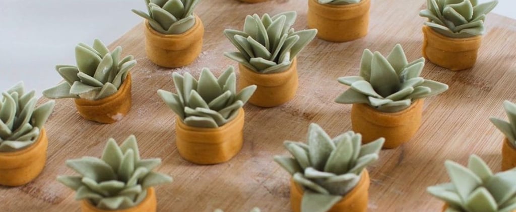 How to Make the Succulent-Shaped Ravioli From TikTok: Recipe