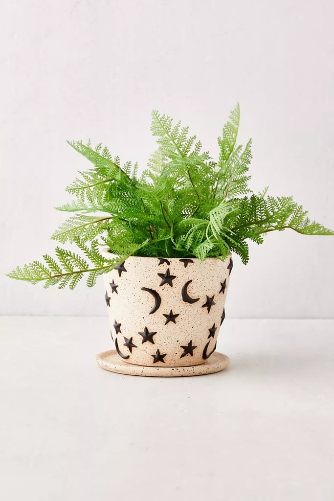 Something Celestial: Estrella Planter And Tray