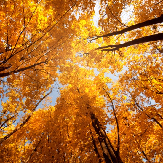 Career and Money News For Oct. 7, 2015