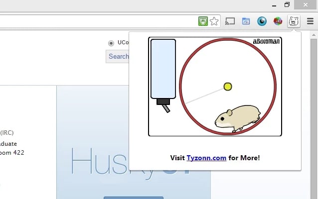 Play with a virtual pet