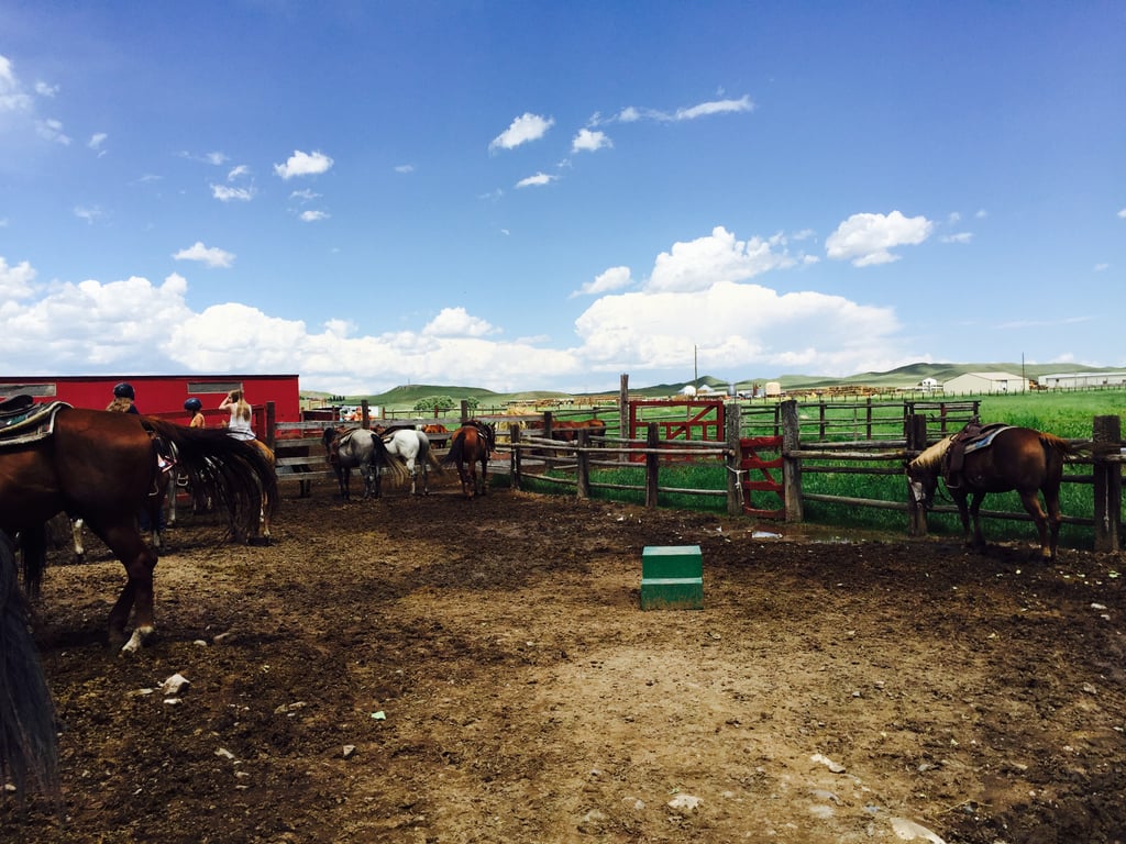 Wyoming Travel Tips