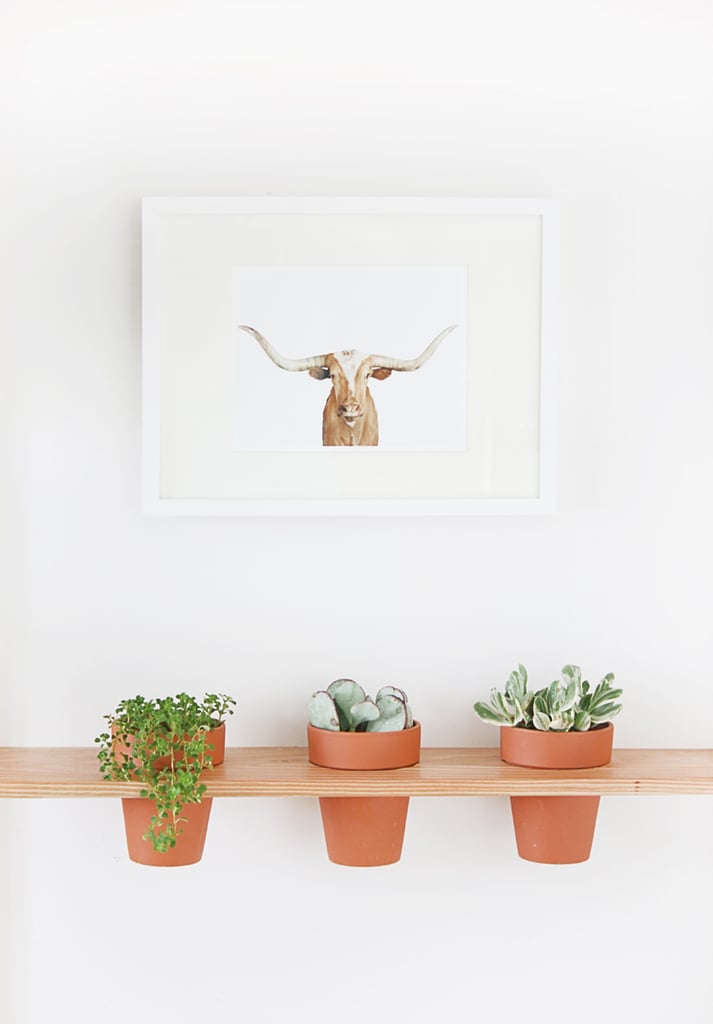 DIY Planters For the Home