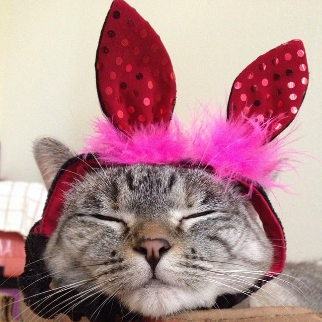 "Treat me like the princess I am."
