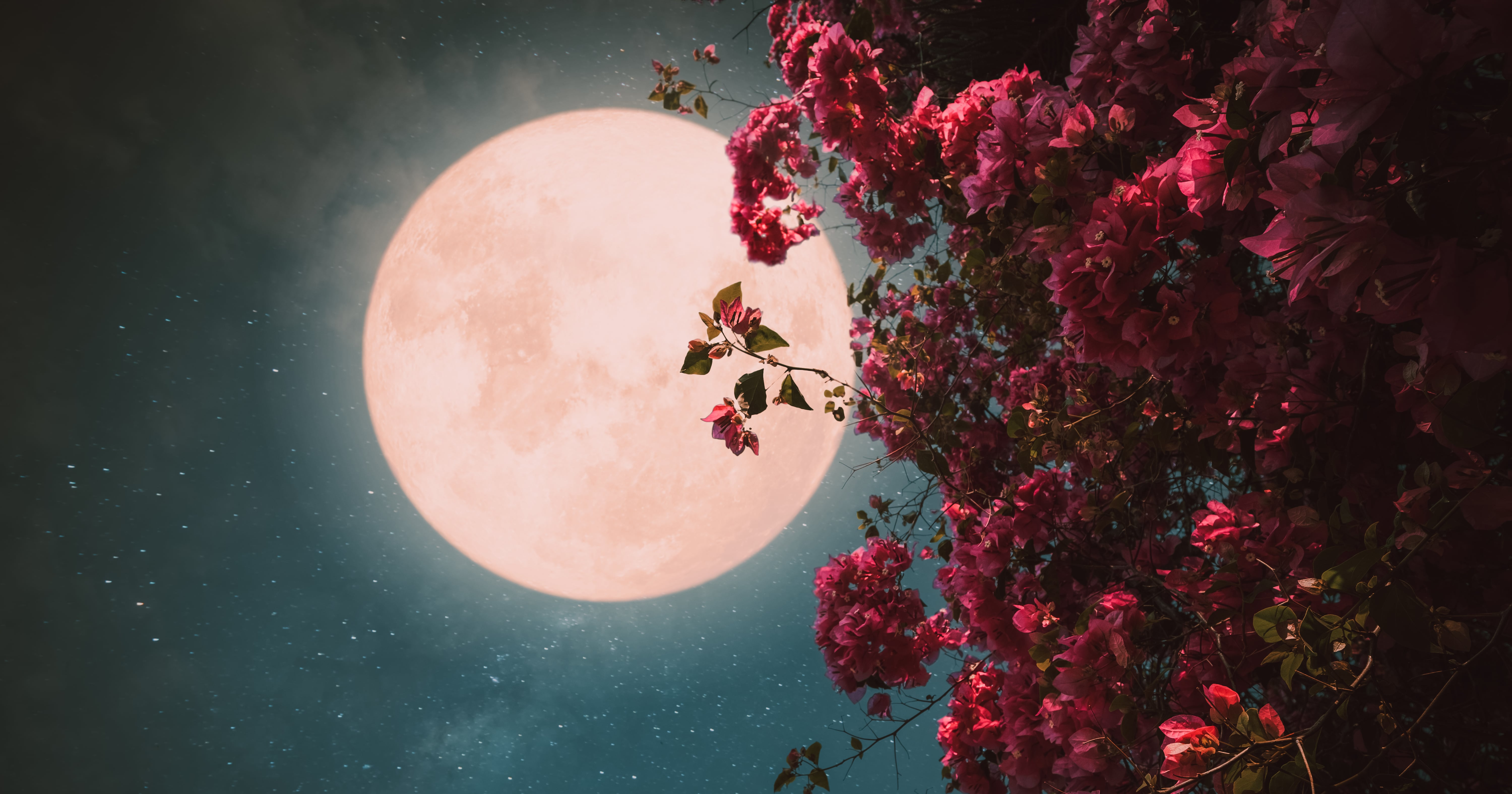 How to Get the Most Out of April’s Pink Moon, According to an Astrologer