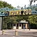 Where to Watch The Zoo Online