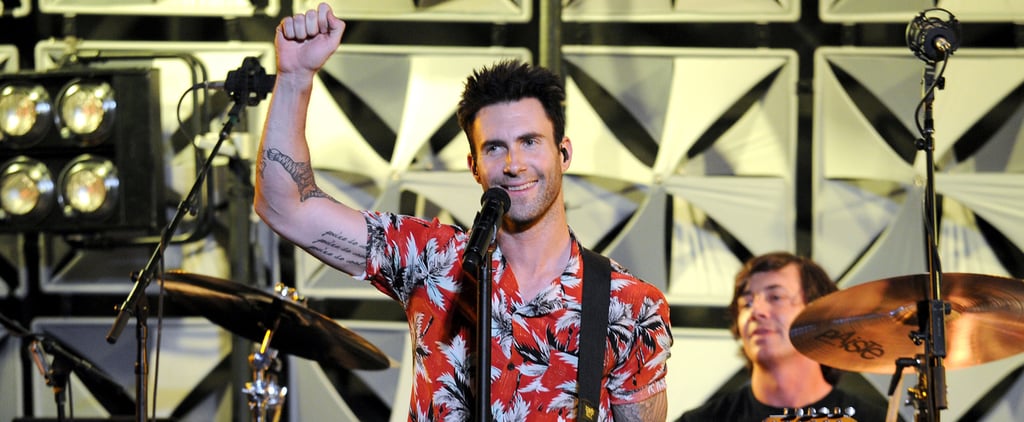 Fan Attacks Adam Levine at Maroon 5 Concert | Video