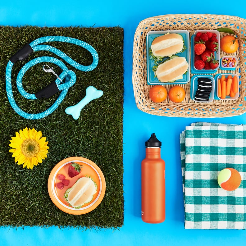 Plan a Picnic