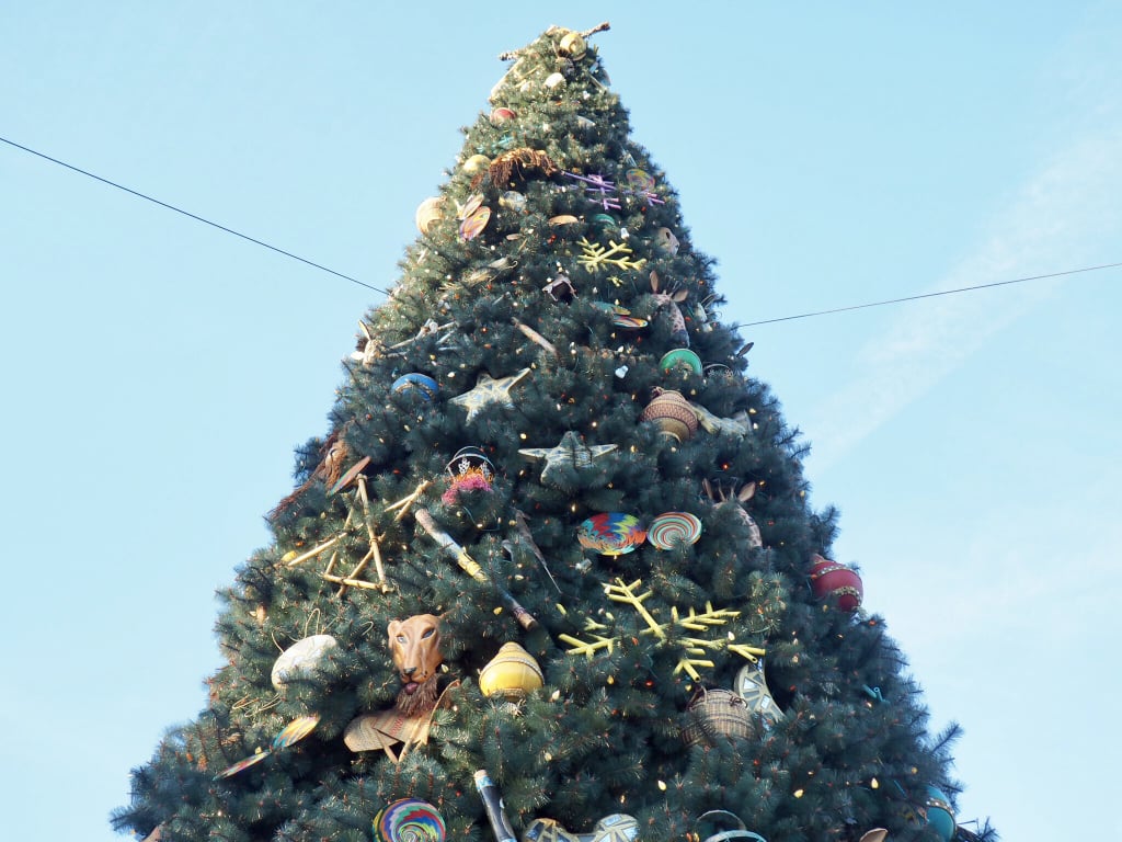 So Many Christmas Trees