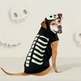 14 of the Cutest Dog Halloween Costumes From Target