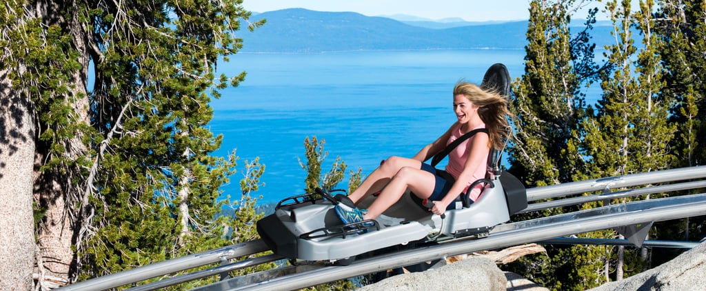 Ridge Rider Mountain Coaster in Tahoe