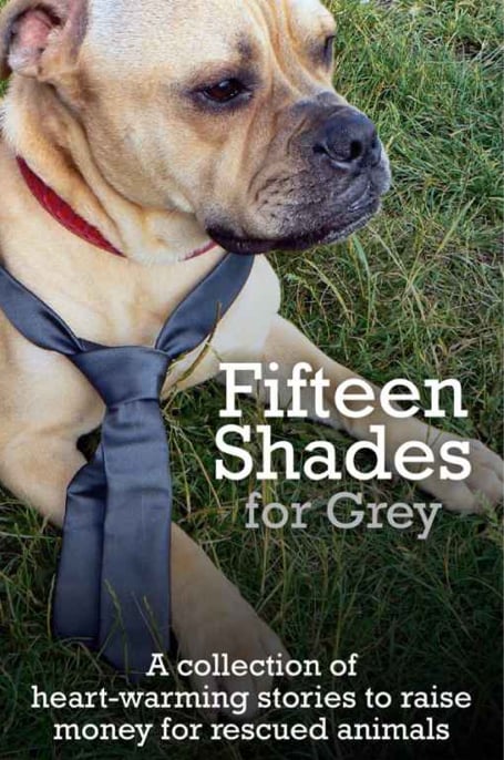 Fifteen Shades For Grey