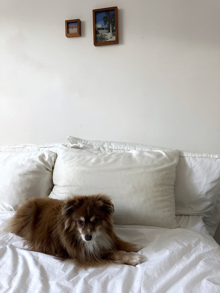 Coop The Original Adjustable Pillow
