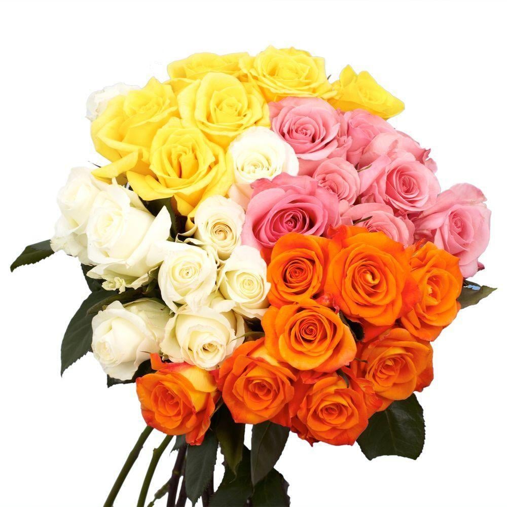 Globalrose Fresh Assorted Colour Roses for Mother's Day Best Flowers