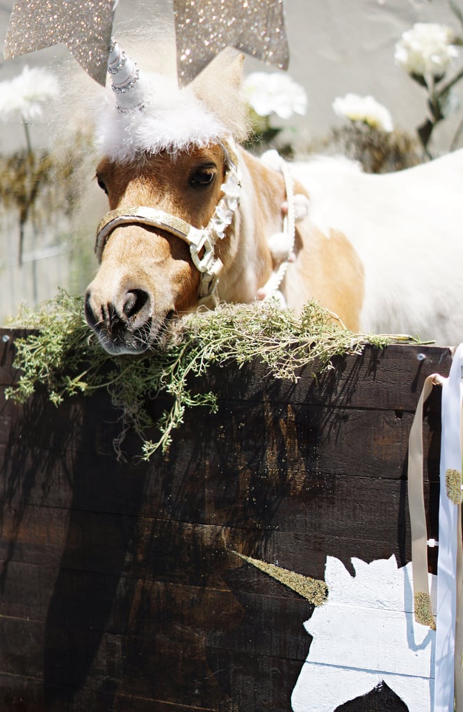 Whimsical Unicorn Birthday Party