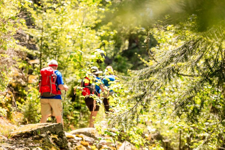 Mountain Trek