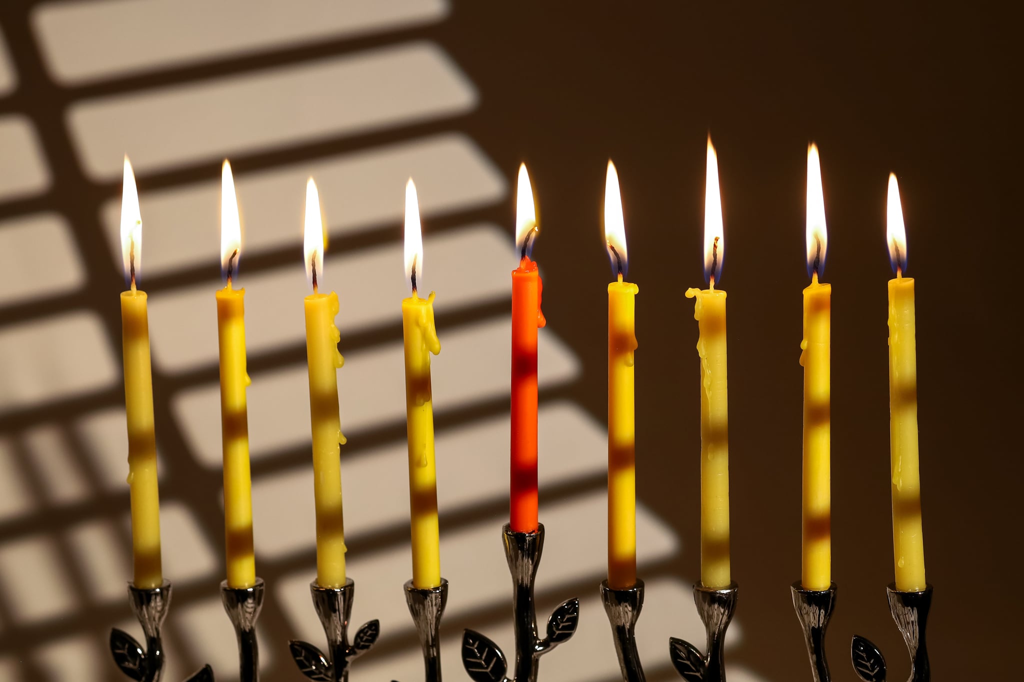a Hannukah menorah with 7 candles