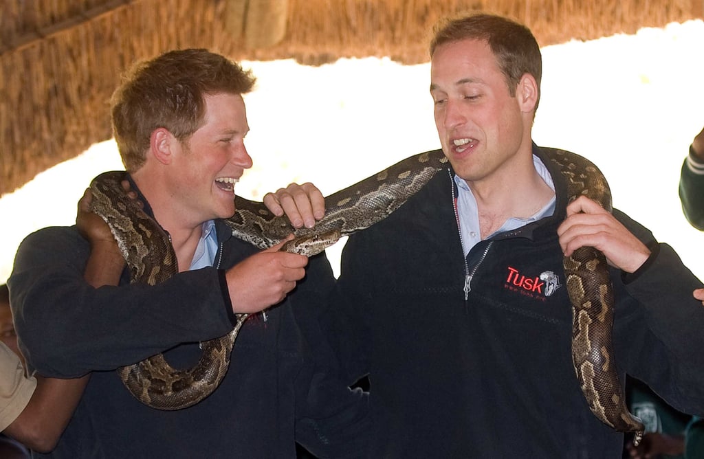 "OK, so . . . what are we talking here, some sort of a freaky-ass snake monster?"