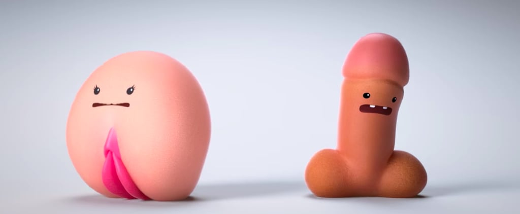Cartoon Genitals Consent Video