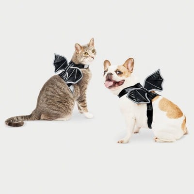 Bat Wings Halloween Dog Costume