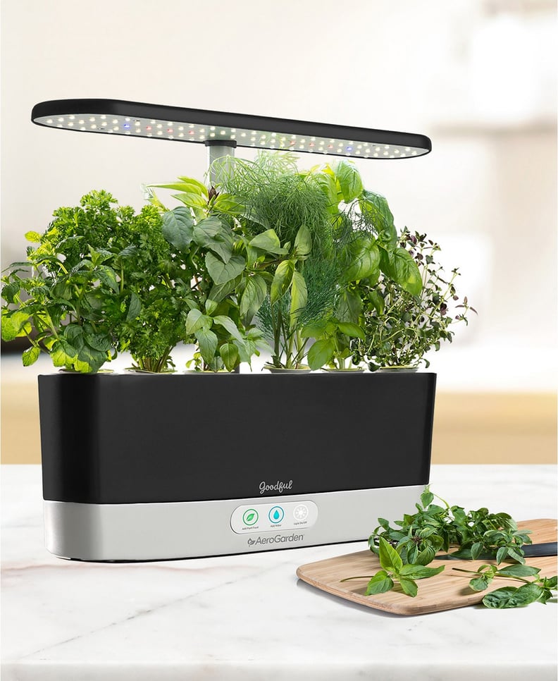 Goodful by AeroGarden Harvest Slim Countertop Garden & Gourmet Herbs Seed Kit