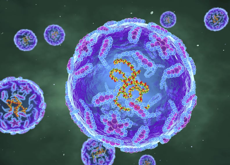 Polio virus, illustration. Each virus particle is composed of a protein coat around a core containing RNA genetic material. This virus infects children and causes the disease poliomyelitis or infantile paralysis. Although it normally causes a mild illness