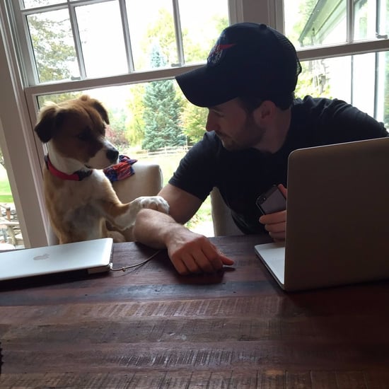 Chris Evans Tweets About His Dog July 2017