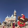43 Amazing Things Disneyland Holiday 2016 Has to Offer