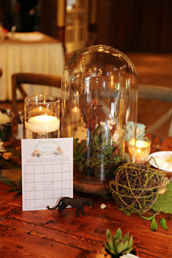 Shabby Chic Woodlands Baby Shower