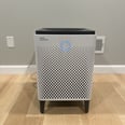 I Have a Severe Pollen Allergy, and This Air Purifier Helps Me Breathe Easy